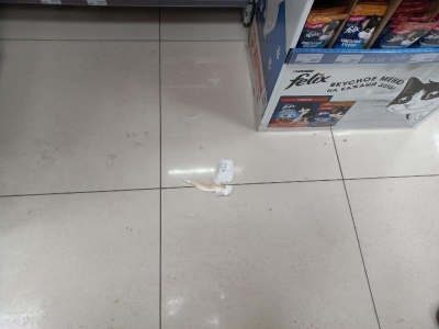 Баброконтроль в «Слате» на Пискунова. Лучший из худших супермаркетов