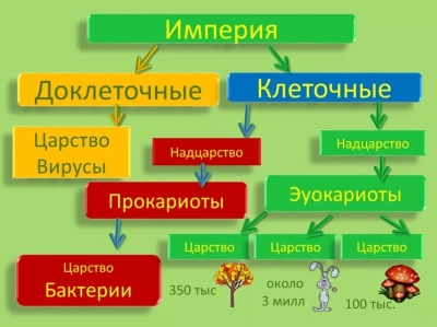 Отмена Царств. SAR. Страменопилы