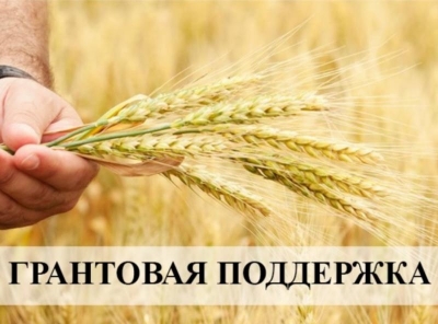 Нам пишут. Парадоксы грантовой поддержки